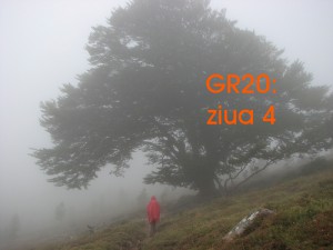 gr204