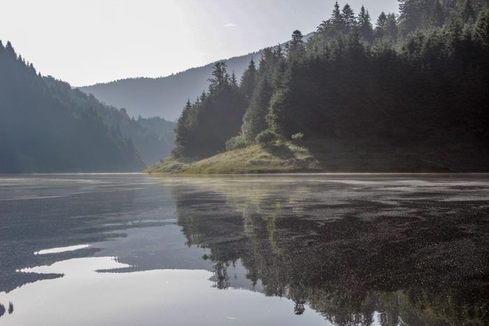 Dimineața devreme, când culorile încă nu s-au trezit