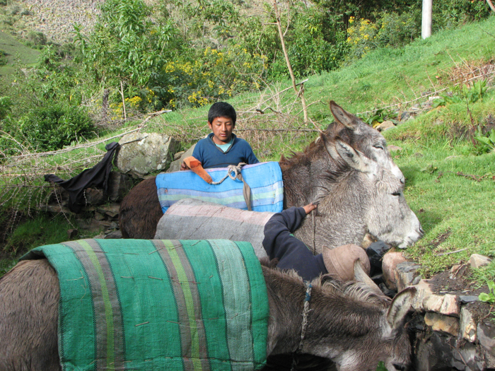 Pregătirea caravanei