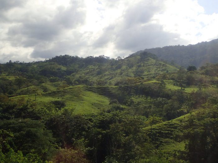 Verde de Chiapas